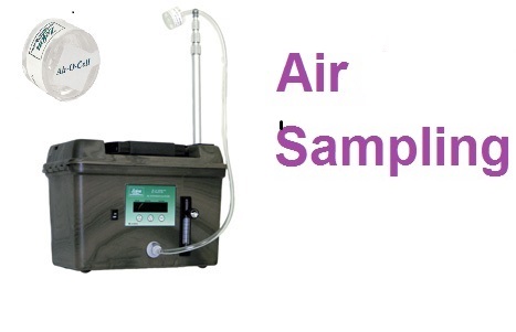 TampaBayMold.net - Clearwater FL