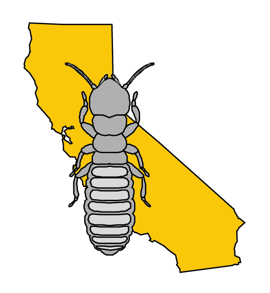 Hume Termite